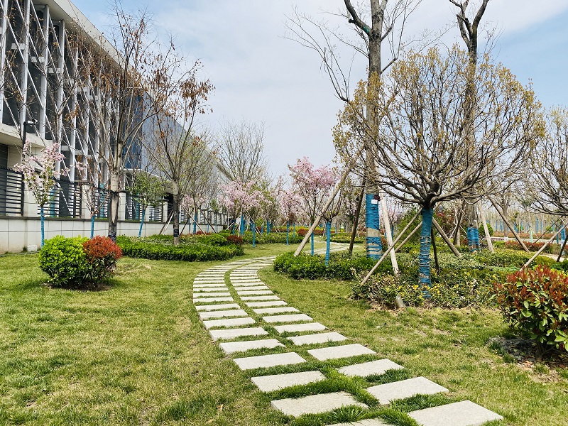 绿化养护案例 绿化养护案例